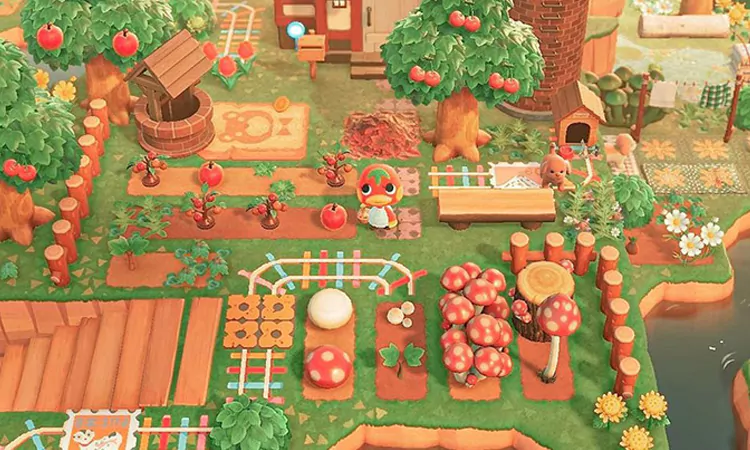 Ketchup’s Tomato Patch