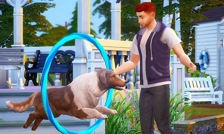 Sims 4 Arguing Poses You Home Late! - wishelsims