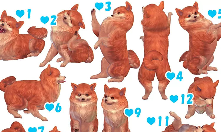 Sims 4 Dog Pose pack Small, Large, Puppy -