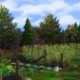 Sims 4 Farm Crops
