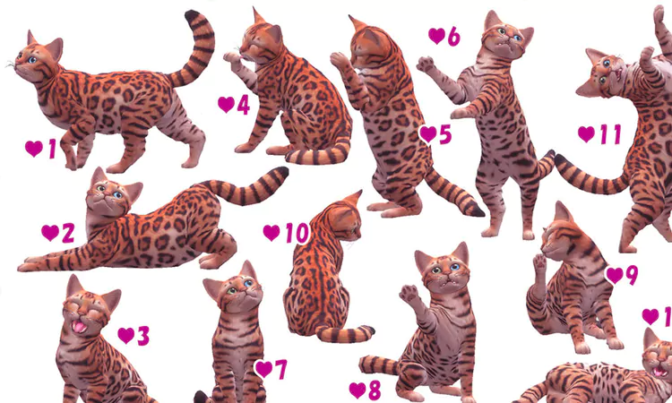 Sims 4 Kitten & Cat Pose - ayumea