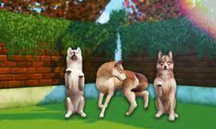 Sims 4 Trick Poses Random Dog - willowsims18