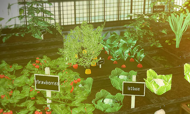Sims 4 Veggie Little Garden Conversions