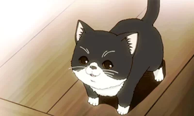 Best Cute Anime Cats in Anime World