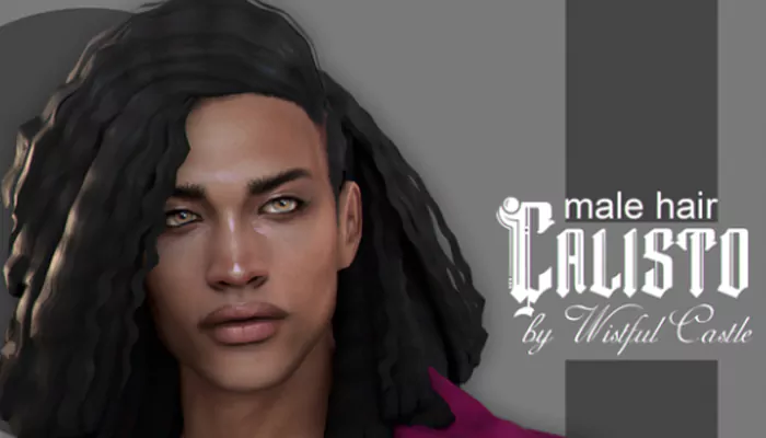 Calisto Hair for Male Sims